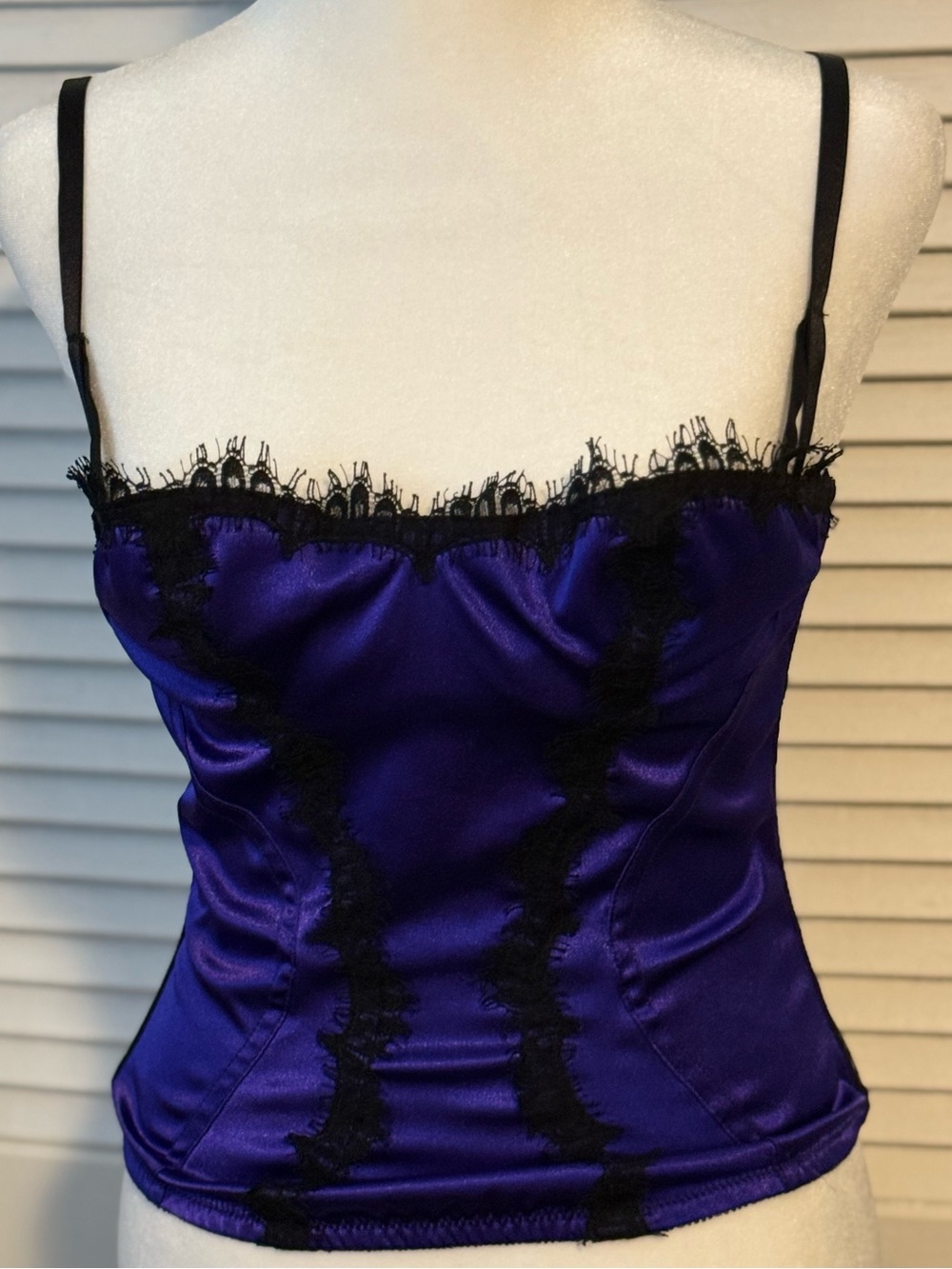 Whimsigoth Fairy Corset Style Womens Cami REN Fair Satin Lace Purple Sheer Mesh